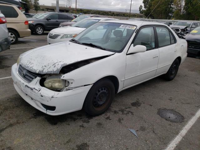TOYOTA COROLLA CE 2001 with VIN 1NXBR12E11Z558555 - Photo from auction