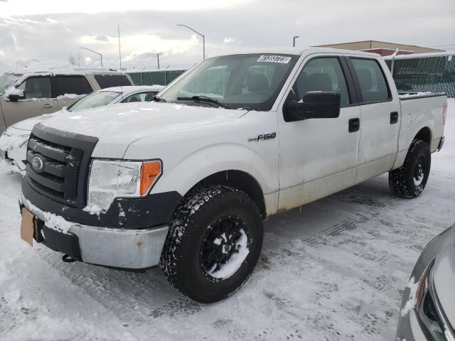 FORD F150 SUPER 2010 with VIN 1FTEW1E88AFD20139 - Photo from auction