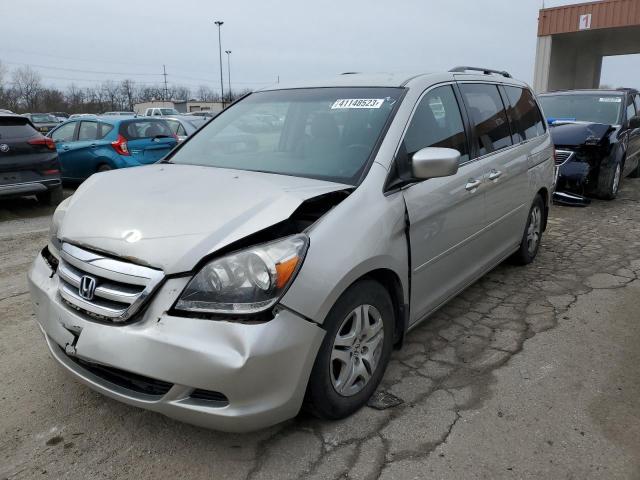 HONDA ODYSSEY 2005 with VIN 5FNRL38415B040801 - Photo from auction