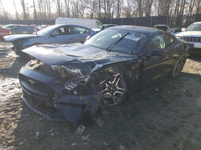 FORD MUSTANG 2019 with VIN 1FA6P8TH2K5194161 - Photo from auction