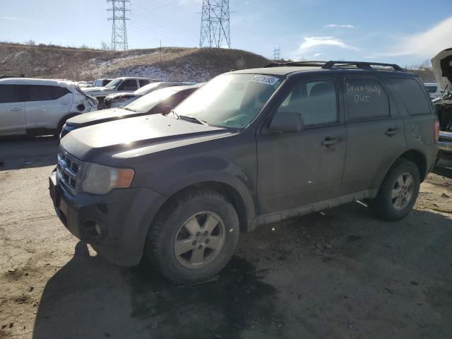 FORD ESCAPE XLT 2011 with VIN 1FMCU9DG7BKC17688 - Photo from auction