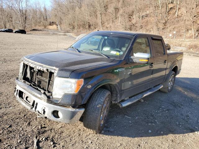 FORD F150 SUPER 2009 with VIN 1FTPW14V39FA35974 - Photo from auction