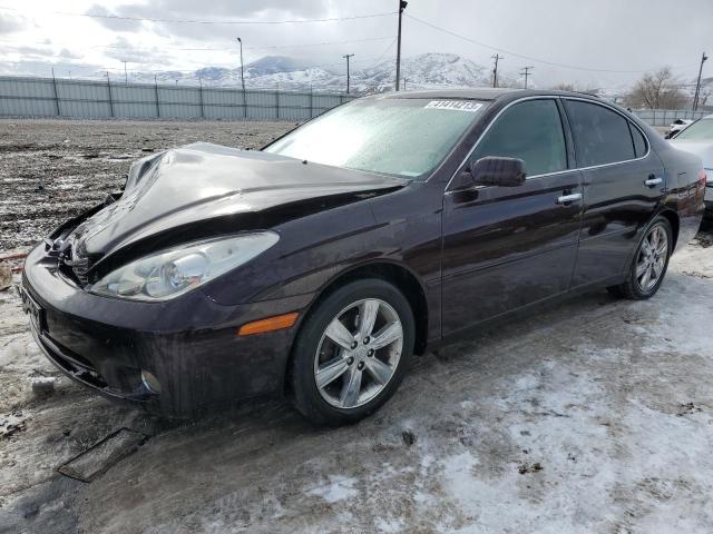 LEXUS ES 330 2005 with VIN JTHBA30G355102650 - Photo from auction