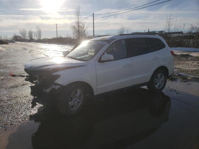 HYUNDAI SANTA FE G 2010 with VIN 5NMSG3ABXAH352963 - Photo from auction