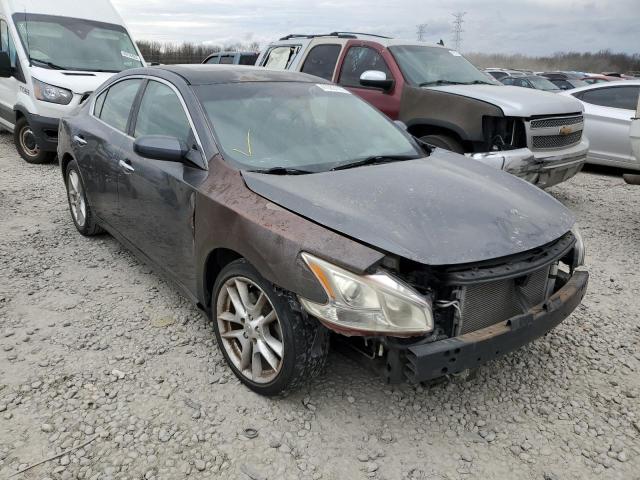 Photo 4 from auction – 2009 NISSAN MAXIMA S with VIN 1N4AA51E49C818826