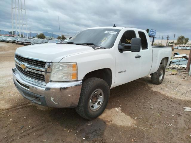 CHEVROLET SILVERADO 2010 with VIN 1GC5CXBG3AZ247557 - Photo from auction