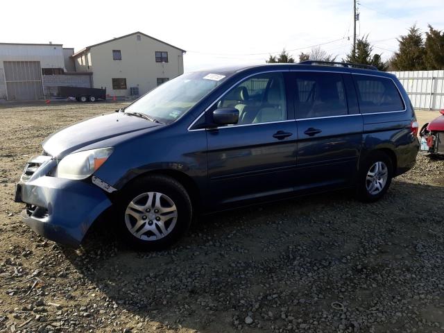 HONDA ODYSSEY EX 2005 with VIN 5FNRL38495B111873 - Photo from auction