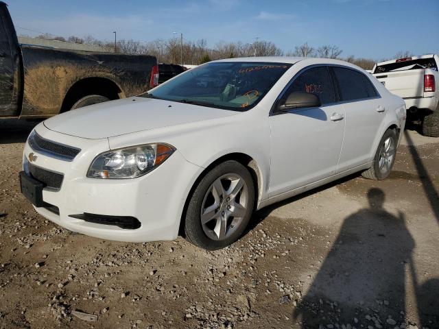 CHEVROLET MALIBU LS 2011 with VIN 1G1ZB5E13BF323614 - Photo from auction