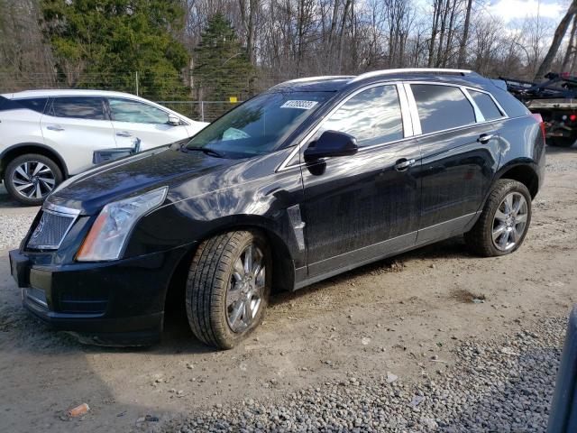 CADILLAC SRX LUXURY 2012 with VIN 3GYFNDE38CS503255 - Photo from auction