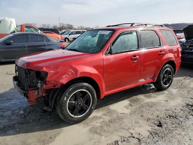 FORD ESCAPE XLT 2010 with VIN 1FMCU0DG6AKB02851 - Photo from auction