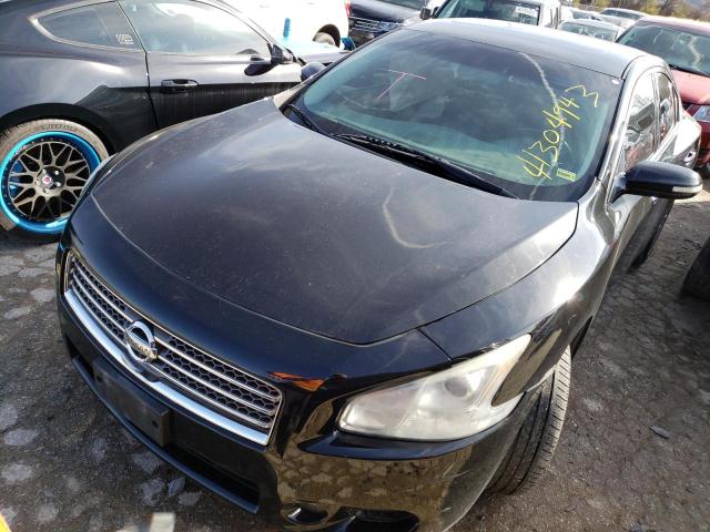 NISSAN MAXIMA S 2010 with VIN 1N4AA5AP0AC853028 - Photo from auction