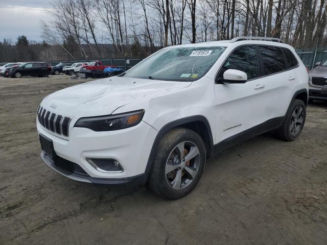 JEEP CHEROKEE L 2019 with VIN 1C4PJMDX1KD322250 - Photo from auction