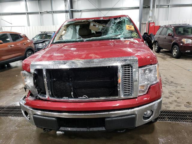 Photo 5 from auction – 2010 FORD F150 SUPER with VIN 1FTFW1EV3AKE74159