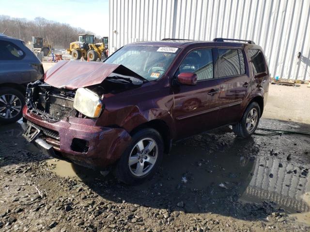 HONDA PILOT EXL 2011 with VIN 5FNYF4H59BB047427 - Photo from auction