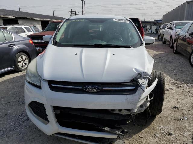 Photo 5 from auction – 2013 FORD ESCAPE SE with VIN 1FMCU0GX6DUA60704