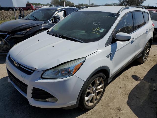 FORD ESCAPE SE 2014 with VIN 1FMCU0GX2EUD63531 - Photo from auction