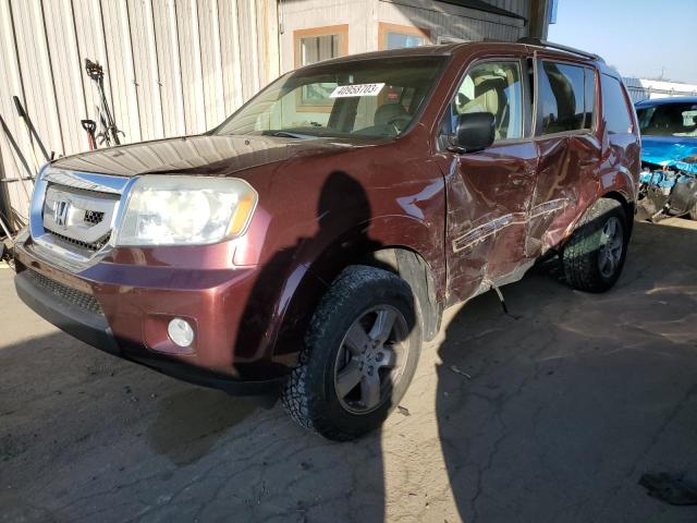 HONDA PILOT EXL 2011 with VIN 5FNYF4H56BB026454 - Photo from auction