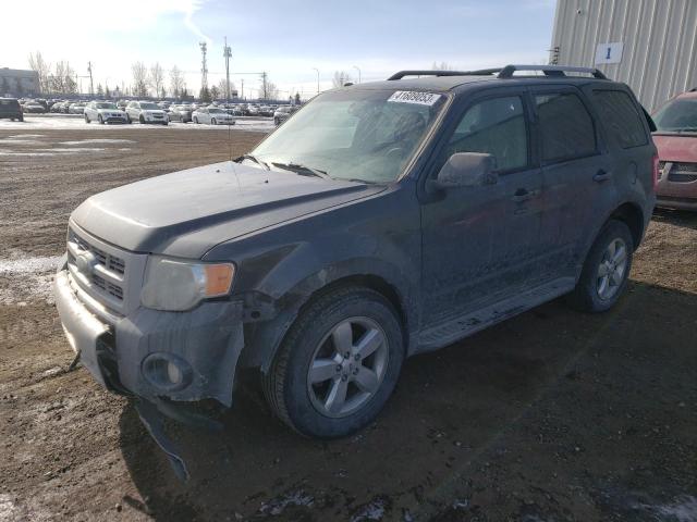 Photo 1 from auction – 2009 FORD ESCAPE LIM with VIN 1FMCU94G29KC64492