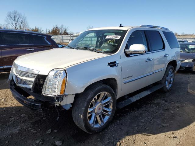CADILLAC ESCALADE P 2011 with VIN 1GYS4DEF4BR311599 - Photo from auction