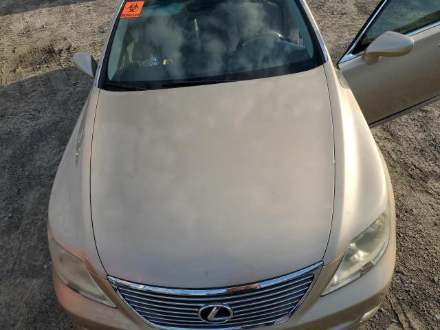 Photo 11 from auction – 2007 LEXUS LS 460 with VIN JTHBL46F575036832