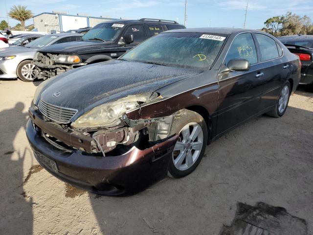 LEXUS ES 330 2005 with VIN JTHBA30G755139281 - Photo from auction