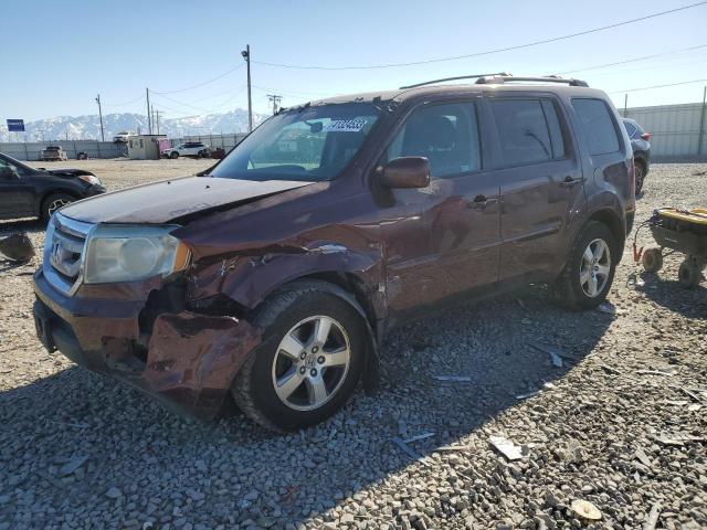 HONDA PILOT 2009 with VIN 5FNYF48409B023776 - Photo from auction