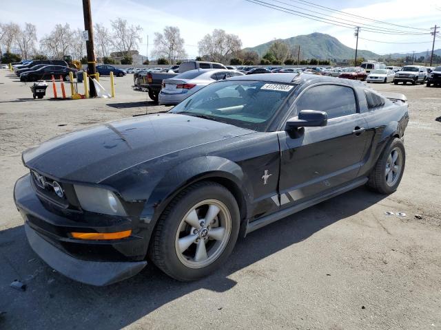 FORD MUSTANG 2007 with VIN 1ZVHT80N175324105 - Photo from auction