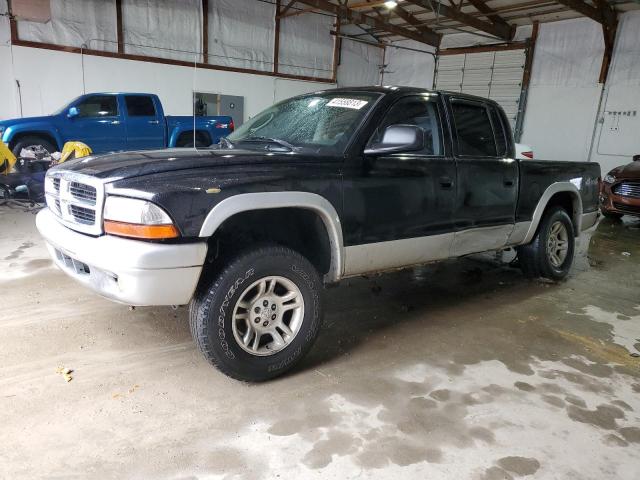 DODGE DAKOTA SLT 2004 with VIN 1D7HG48K64S637356 - Photo from auction
