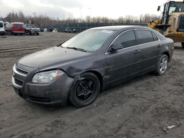 CHEVROLET MALIBU LS 2012 with VIN 1G1ZA5EU8CF393270 - Photo from auction