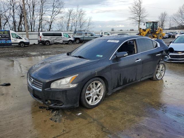 NISSAN MAXIMA S 2010 with VIN 1N4AA5AP7AC849185 - Photo from auction