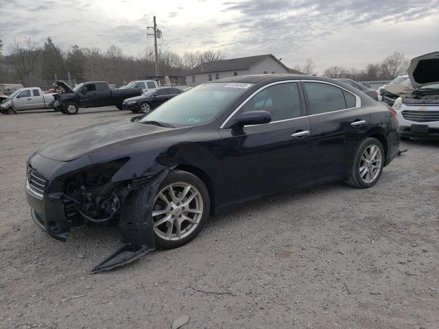 NISSAN MAXIMA S 2010 with VIN 1N4AA5AP9AC831710 - Photo from auction
