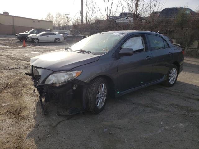 TOYOTA COROLLA BA 2010 with VIN 2T1BU4EE9AC248361 - Photo from auction