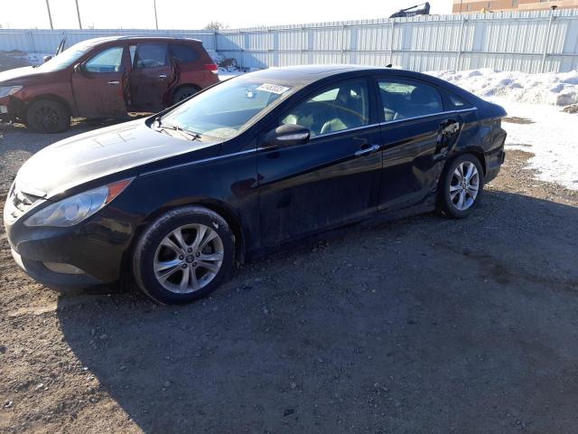 HYUNDAI SONATA SE 2011 with VIN 5NPEC4AC5BH002281 - Photo from auction