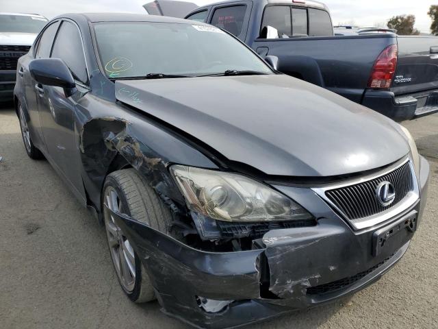 Photo 4 from auction – 2008 LEXUS IS 250 with VIN JTHBK262085053317