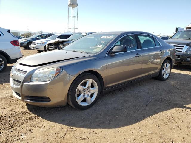 CHEVROLET MALIBU LS 2012 with VIN 1G1ZB5E07CF195368 - Photo from auction