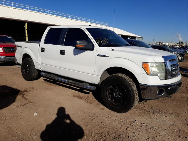 Photo 4 from auction – 2009 FORD F150 SUPER with VIN 1FTPW14V79FB16699