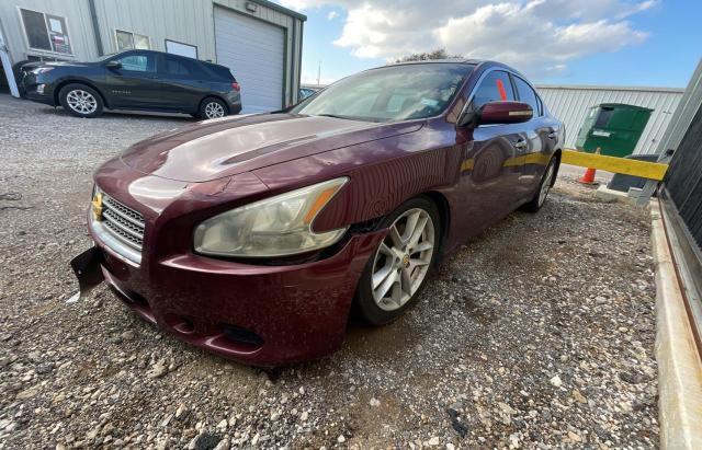Photo 2 from auction – 2009 NISSAN MAXIMA S with VIN 1N4AA51E19C855073