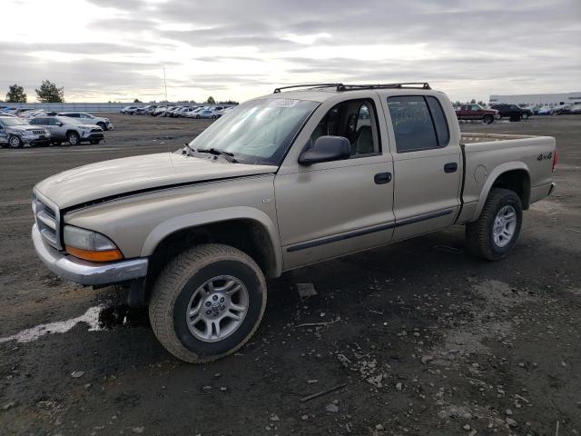 DODGE DAKOTA QUA 2003 with VIN 1D7HG48NX3S308359 - Photo from auction