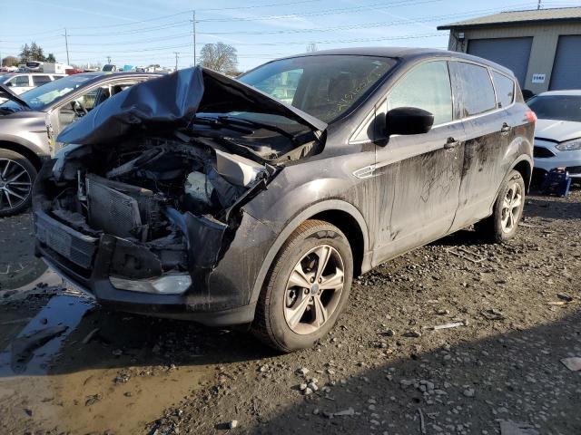 Photo 1 from auction – 2013 FORD ESCAPE SE with VIN 1FMCU9GX0DUB99134