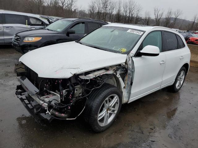 AUDI Q5 PREMIUM 2017 with VIN WA1L2AFP9HA012990 - Photo from auction