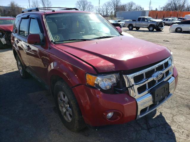 Photo 4 from auction – 2010 FORD ESCAPE LIM with VIN 1FMCU9EG4AKC28385
