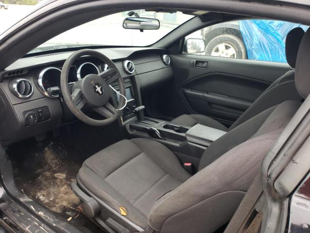 Photo 8 from auction – 2005 FORD MUSTANG with VIN 1ZVFT80N155124538