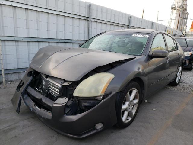 NISSAN MAXIMA SE 2006 with VIN 1N4BA41E56C821888 - Photo from auction