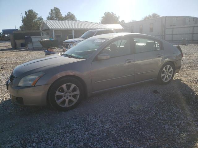 NISSAN MAXIMA SE 2008 with VIN 1N4BA41E18C830641 - Photo from auction