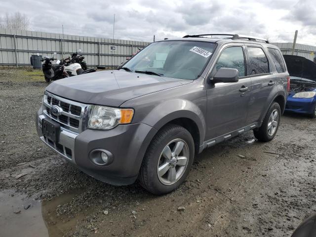 FORD ESCAPE LIM 2012 with VIN 1FMCU0EGXCKB05009 - Photo from auction