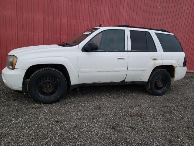Photo 1 from auction – 2009 CHEVROLET TRAILBLAZE with VIN 1GNDT33S092126021