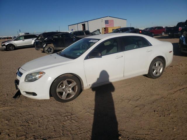 CHEVROLET MALIBU LS 2010 with VIN 1G1ZA5E05A4104058 - Photo from auction