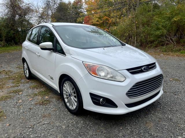 FORD C-MAX PREM 2013 with VIN 1FADP5CU1DL541383 - Photo from auction
