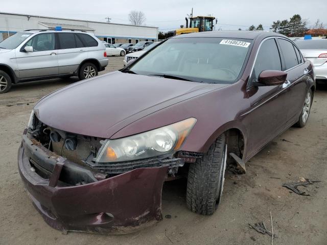 HONDA ACCORD EXL 2010 with VIN 5KBCP3F89AB011302 - Photo from auction