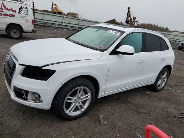 AUDI Q5 PREMIUM 2017 with VIN WA1L2AFP7HA081306 - Photo from auction